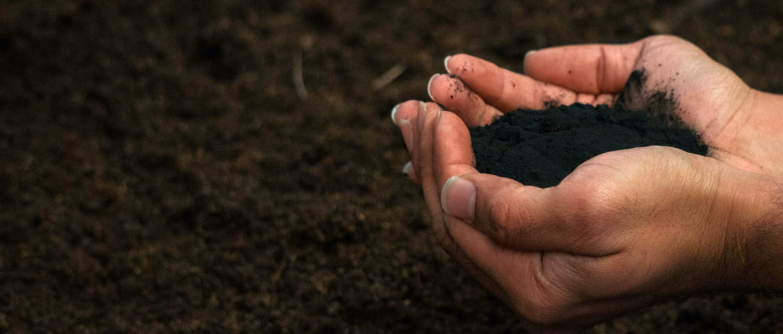 a photo of a hand holding soil (Photo by Plantilizer)