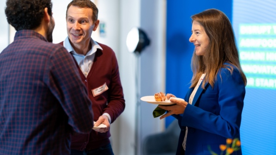 image column 2 widget_1730902613346