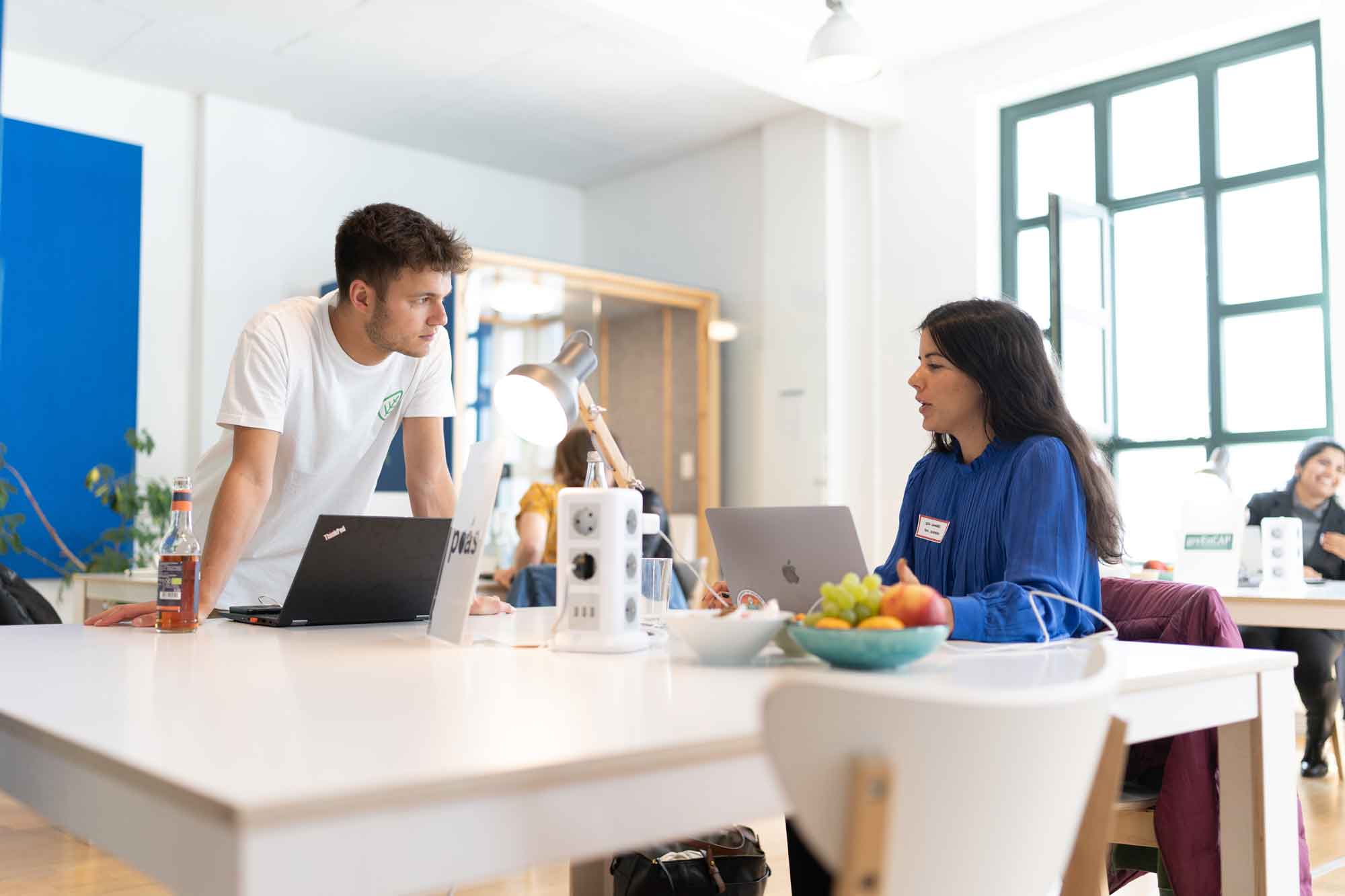 RootCamp-Startup-Image