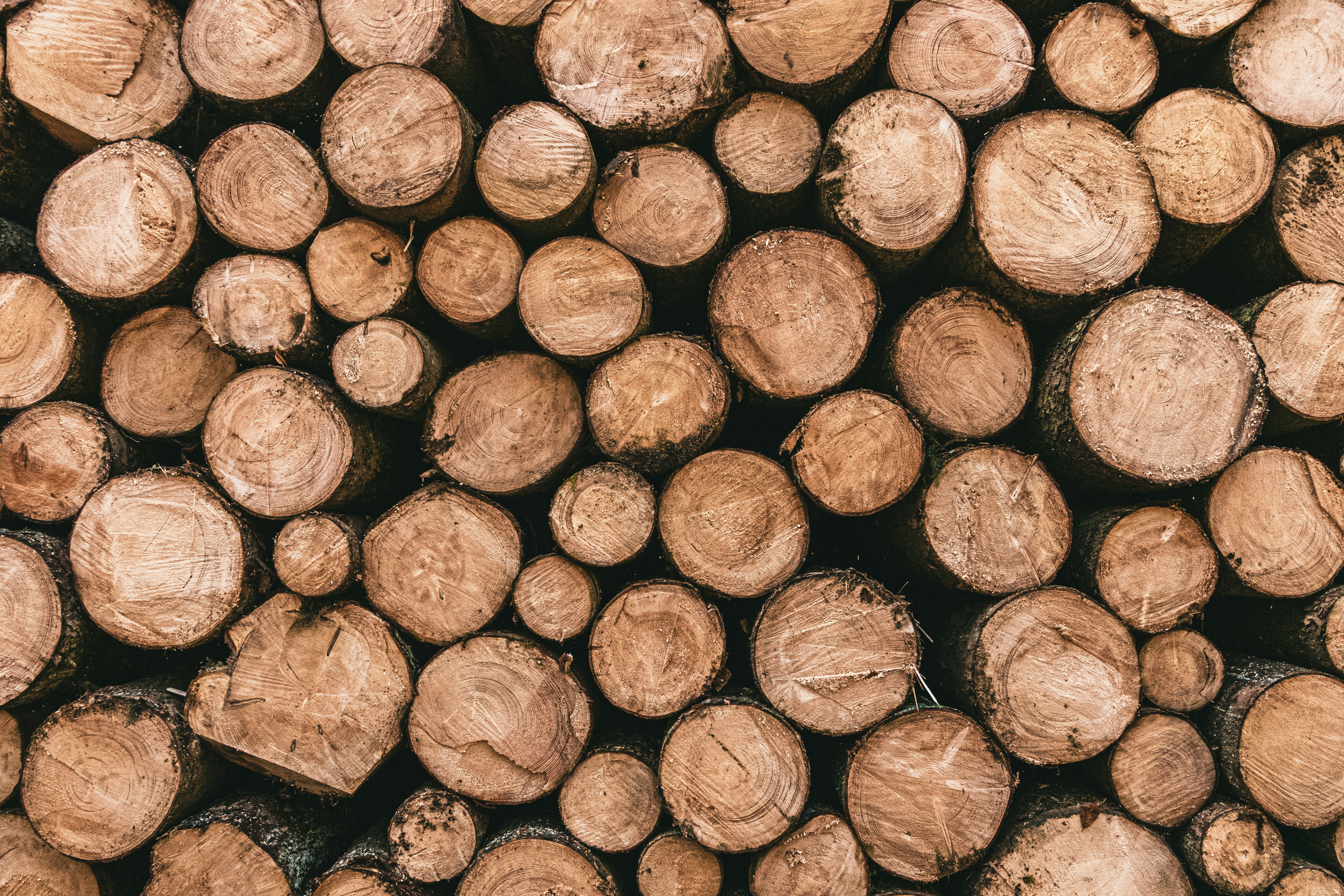 Lignin: Key to the Bioeconomy and Challenges to Scaling